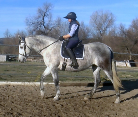 HorseID: 2307148 RC REYNA - PhotoID: 1091018