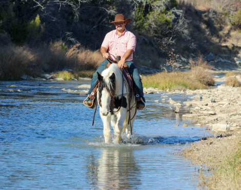 HorseID: 2307156 Duke M$ - PhotoID: 1091071