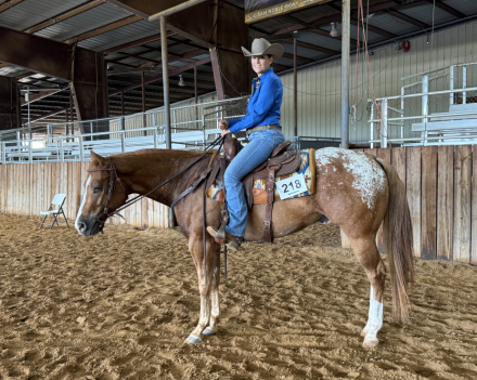 HorseID: 2307166 EXPONENTIAL - PhotoID: 1091025