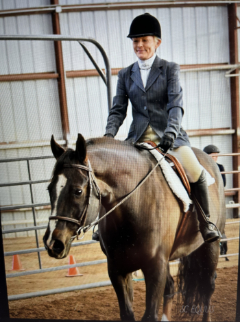 HorseID: 2307173 ABSOLUTE INVY - PhotoID: 1091051