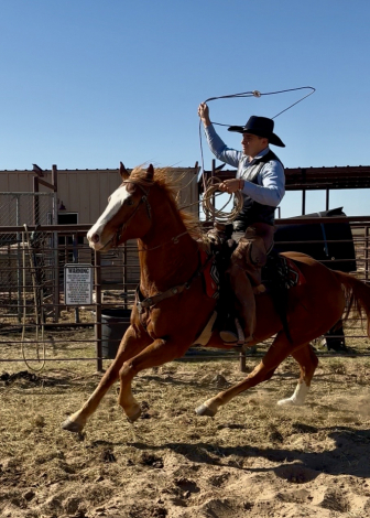 HorseID: 2307193 Apollo - PhotoID: 1091121