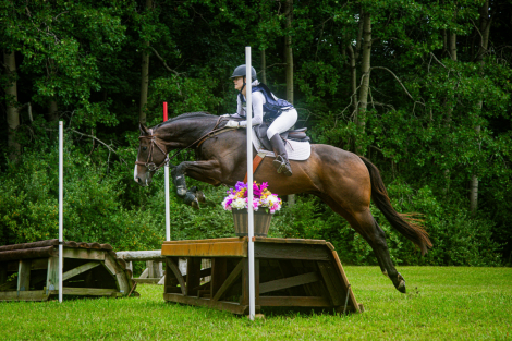 HorseID: 2307202 Boreas - PhotoID: 1091144