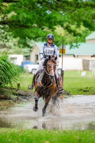 HorseID: 2307202 Boreas - PhotoID: 1091146