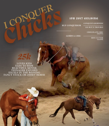 HorseID: 2307225 I Conquer Chicks - PhotoID: 1091170