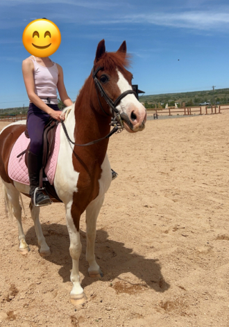 HorseID: 2307243 Perfect Addiction - PhotoID: 1091178