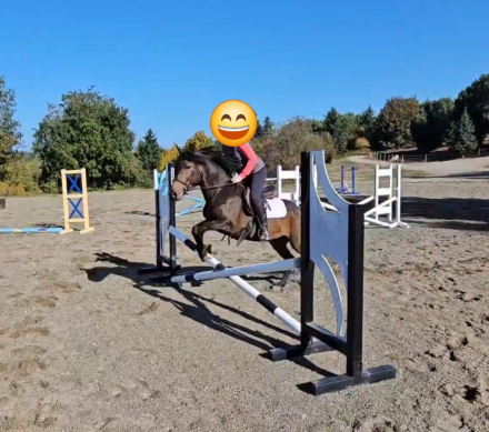 HorseID: 2307254 Super Nova - PhotoID: 1091185