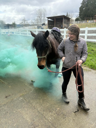 HorseID: 2307254 Super Nova - PhotoID: 1091186