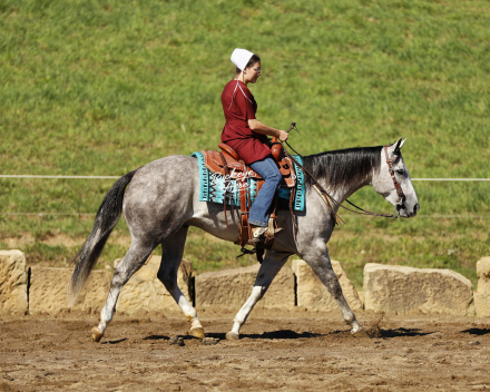 HorseID: 2307268 Peptos Te Man - PhotoID: 1091202