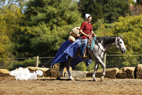 HorseID: 2307268 Peptos Te Man - PhotoID: 1091203