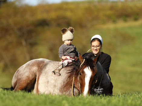 HorseID: 2307269 Buckeyes Rusty - PhotoID: 1091194