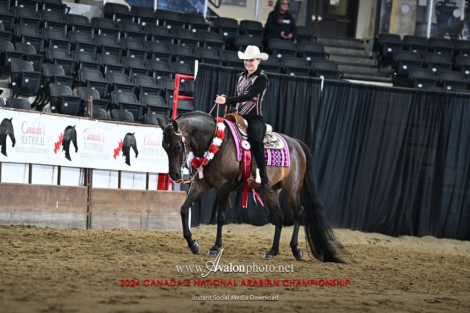 HorseID: 2307281 Anuther Lil Sis CSF - PhotoID: 1091210