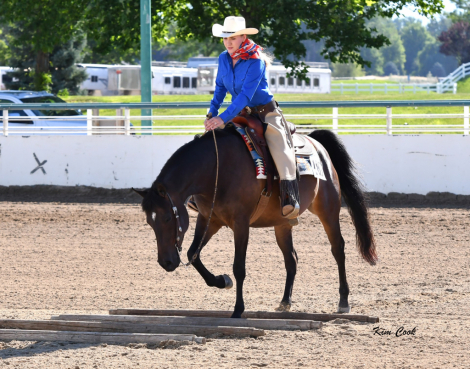 HorseID: 2307281 Anuther Lil Sis CSF - PhotoID: 1091211