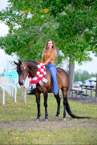 HorseID: 2307281 Anuther Lil Sis CSF - PhotoID: 1091213