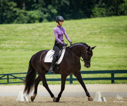 HorseID: 2307320 Fierce TAL - PhotoID: 1091245