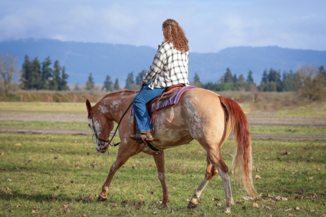 HorseID: 2307343 One Gold Digger - PhotoID: 1091269