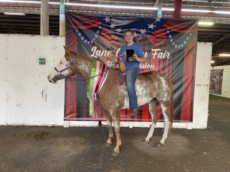 HorseID: 2307343 One Gold Digger - PhotoID: 1091272