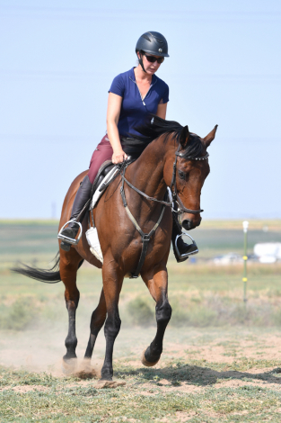 HorseID: 2307347 Radiant Rockstar - PhotoID: 1091258