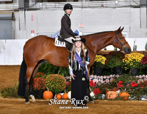 HorseID: 2307382 All Latte Da - PhotoID: 1091363