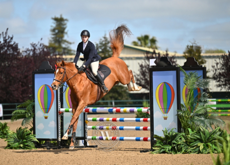 HorseID: 2307398 Live it Well - PhotoID: 1091337