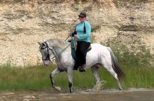 HorseID: 2307407 FVF Matt Dillon - PhotoID: 1091351