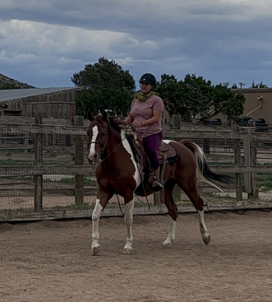 HorseID: 2307415 August - PhotoID: 1091358