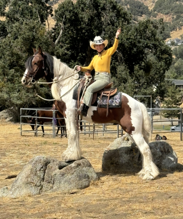 HorseID: 2307416 Saint Clarins Royality - PhotoID: 1091361