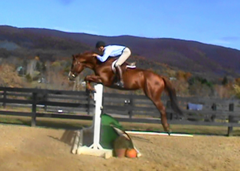 HorseID: 1059371 Friend or Foe - PhotoID: 1094005