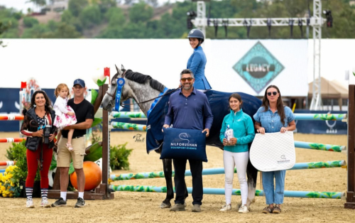 HorseID: 2241241 Gucci van z - PhotoID: 1093836