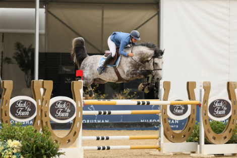 HorseID: 2241241 Gucci van z - PhotoID: 1093839