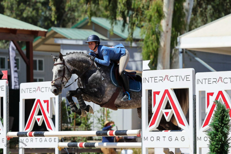 HorseID: 2241241 Gucci van z - PhotoID: 1094001