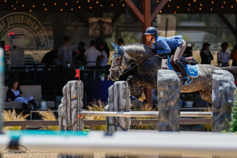 HorseID: 2241241 Gucci van z - PhotoID: 1094002