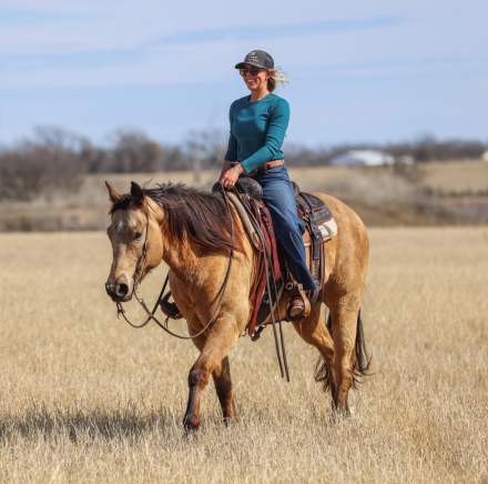 HorseID: 2246616 Nacho Traffic Guy - PhotoID: 1081216