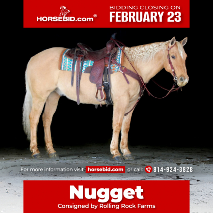 HorseID: 2246739 Nugget - PhotoID: 1045904