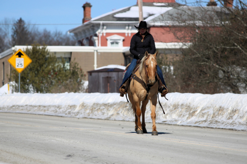 HorseID: 2246739 Nugget - PhotoID: 1045907