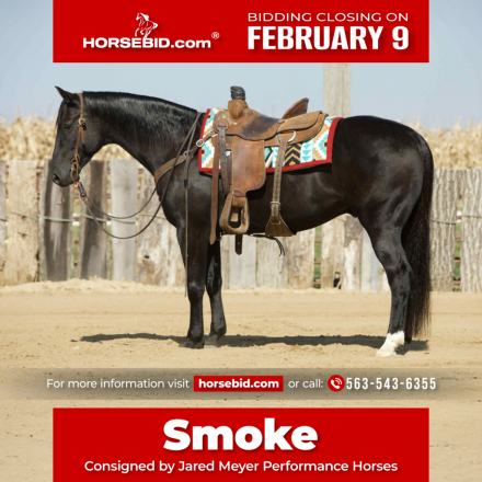 HorseID: 2246741 Lemmons Northbound - PhotoID: 1028746