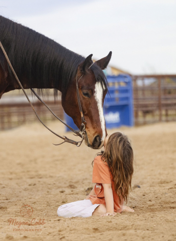 HorseID: 2249906 Mystiquekelly - PhotoID: 1033500