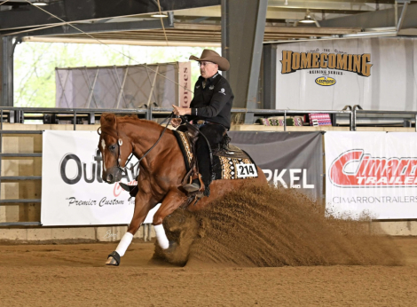 HorseID: 2249907 Hollywood Recoded - PhotoID: 1081215