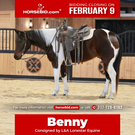 HorseID: 2253893 Another Smart Pep - PhotoID: 1029661