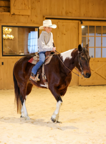 HorseID: 2253893 Another Smart Pep - PhotoID: 1045916