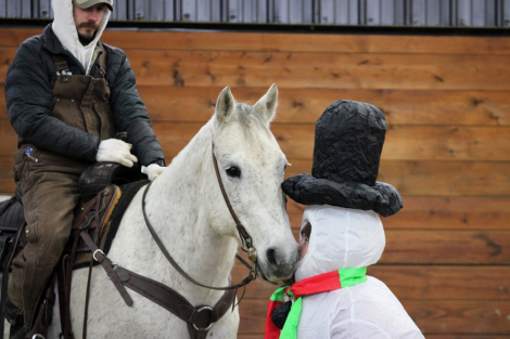 HorseID: 2253894 Blitz - PhotoID: 1042231