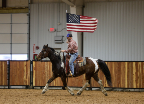 HorseID: 2253895 Oat - PhotoID: 1045914