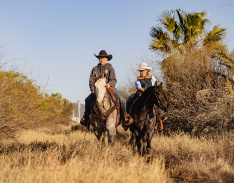 HorseID: 2262623 Lil peppy cat - PhotoID: 1054923