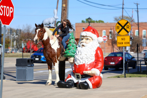 HorseID: 2265020 Goliath - PhotoID: 1042264