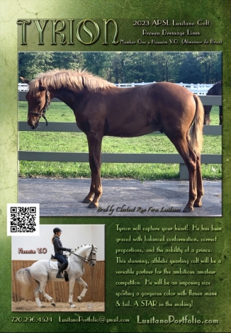 HorseID: 2267434 TYRION - PhotoID: 1037530