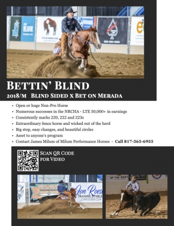 HorseID: 2267579 Bettin Blind - PhotoID: 1037954