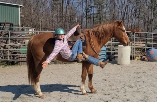HorseID: 2268120 Sweet Tater  Over 2 hours of amazing videos! - PhotoID: 1038387