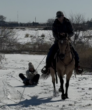 HorseID: 2275761 JB TARTANERO - PhotoID: 1070287