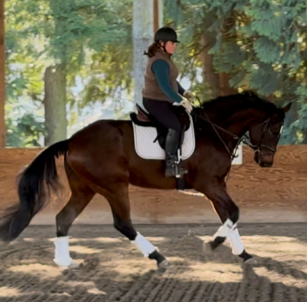 HorseID: 2278514 Presley PST - PhotoID: 1092789