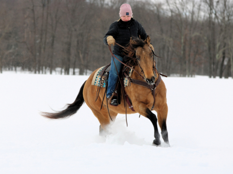 HorseID: 2280901 Queenie - PhotoID: 1055706