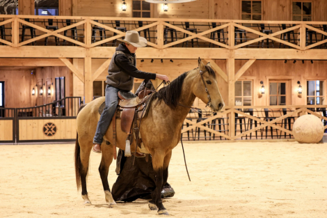 HorseID: 2280904 WQH Jess Cal Olena - PhotoID: 1055718